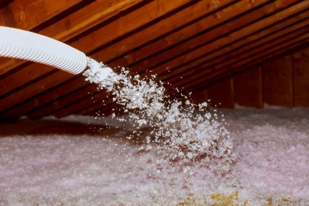 Best Insulation Maintenance and Repair in St Clair, MO