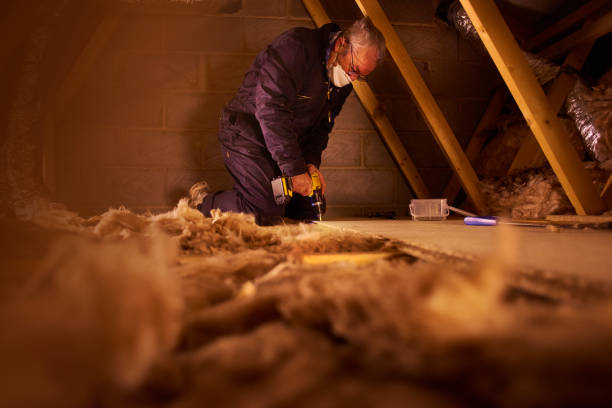 Best Commercial Insulation in St Clair, MO